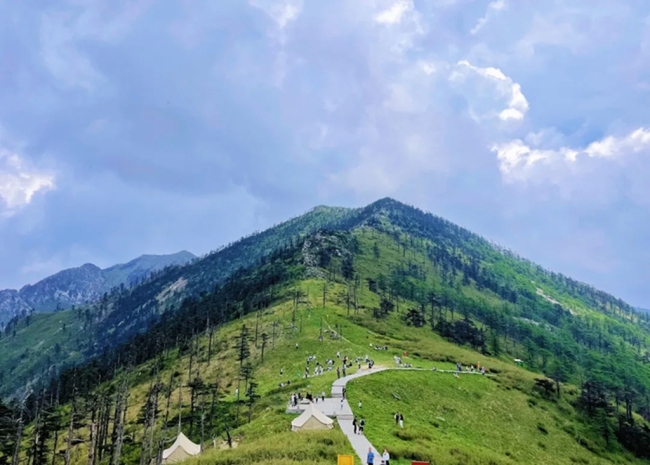 “生態(tài)秦嶺 清涼之約”主題媒體行活動 探秘朱雀國家森林公園